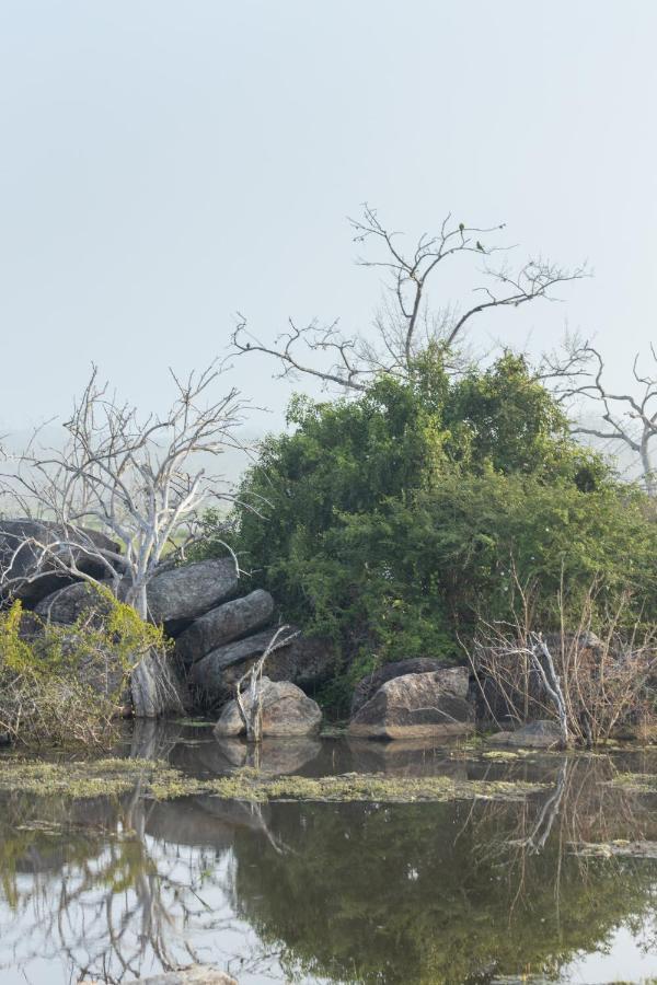 Koragaha Lodge - Yala Тіссамахарама Екстер'єр фото