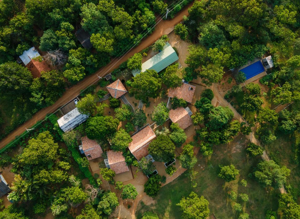 Koragaha Lodge - Yala Тіссамахарама Екстер'єр фото